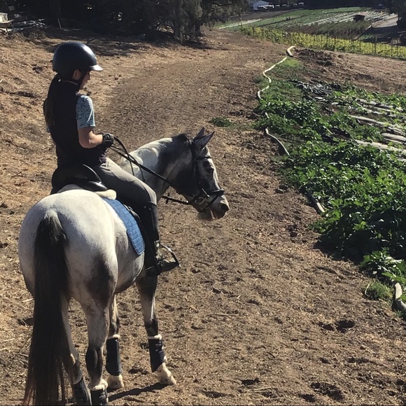 Meet your Posher, Chloe - Picture 2 of 2